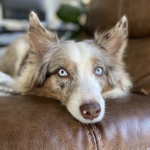 Fundraising Page: Elaina Kelley